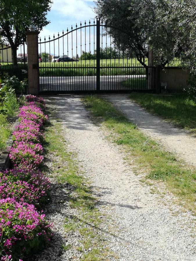 Appartamento Casa Fiorelli Passaggio di Assisi Esterno foto