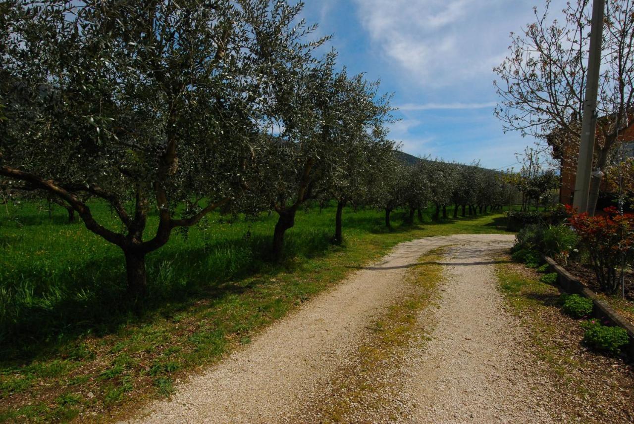 Appartamento Casa Fiorelli Passaggio di Assisi Esterno foto